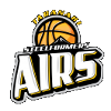 塔拉纳基空气 logo
