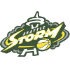 西雅图风暴  logo