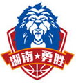 长沙湾田勇胜 logo