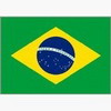 巴西  logo