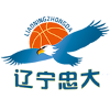 辽宁双喜电器女篮 logo