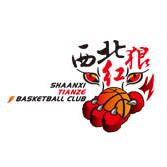 陕西天泽女篮  logo